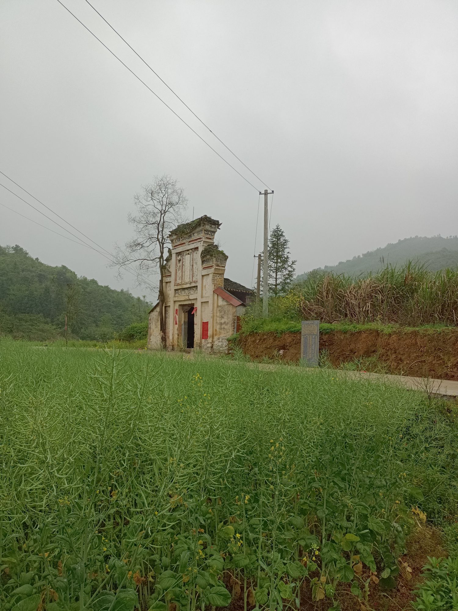 衡阳市衡阳县