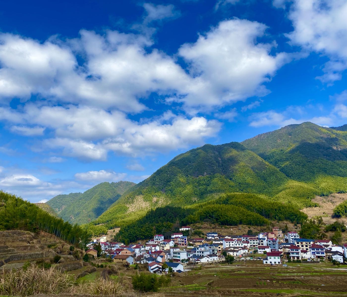 金华市婺城区