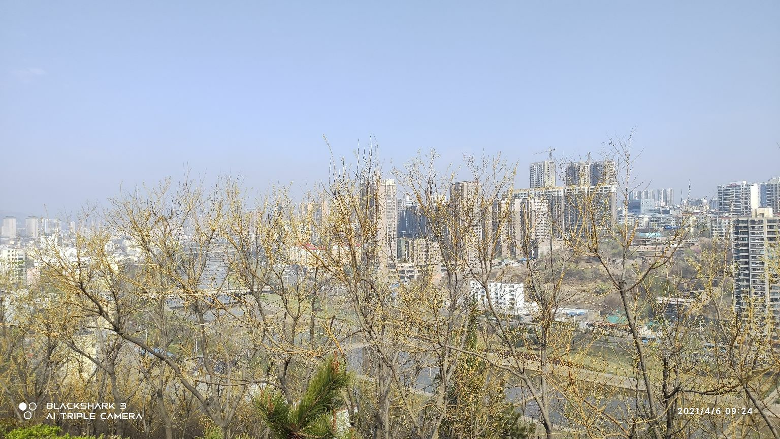 王母垴植物公园