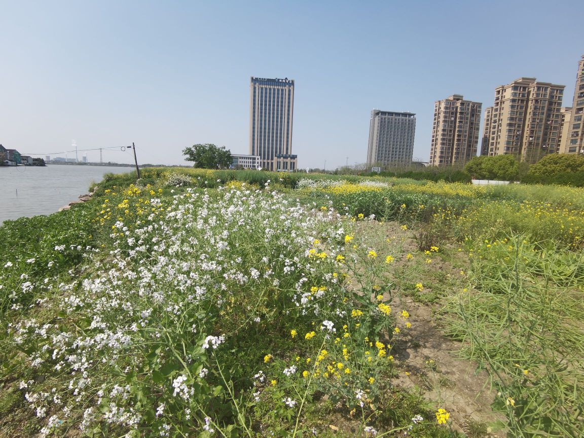 浙江省嘉兴市秀洲区