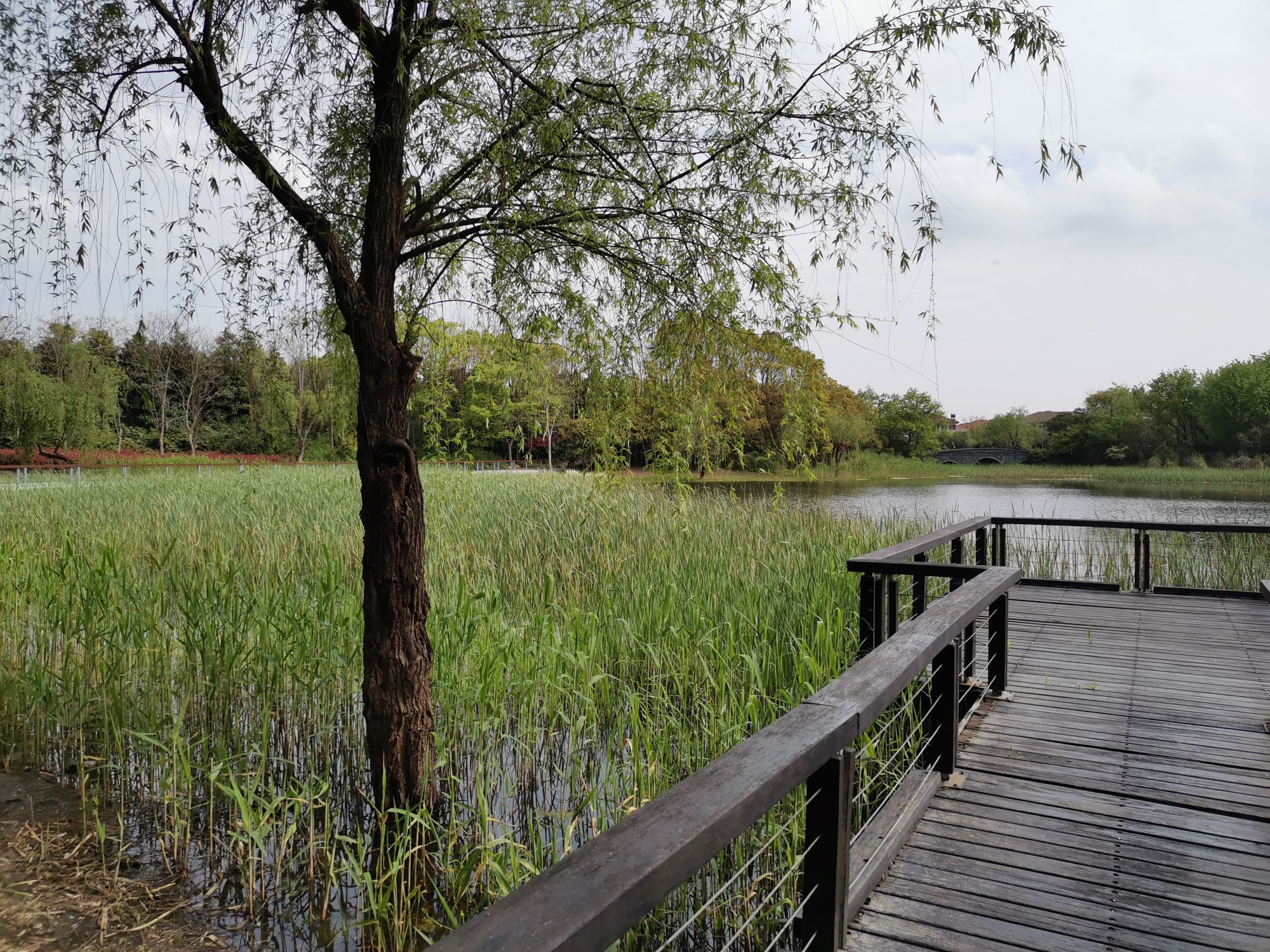 地址(位置,怎么去,怎么走):  江苏省无锡市滨湖区蠡湖国家湿地公园