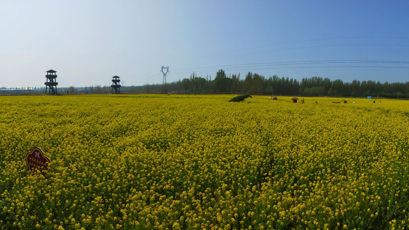 济南市槐荫区