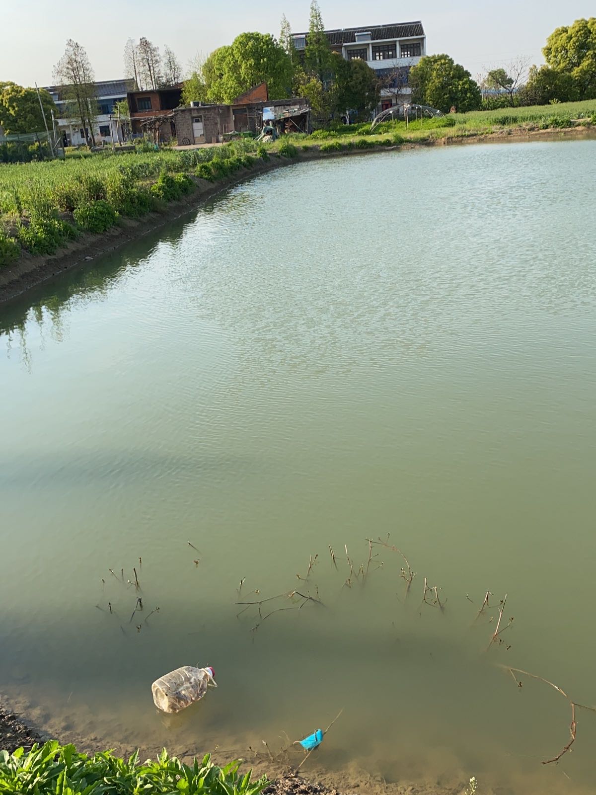 东坊休闲钓场