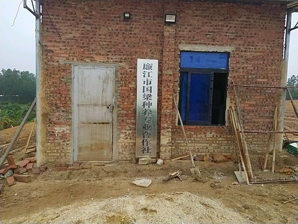 廉江市国梁种养专业合作社