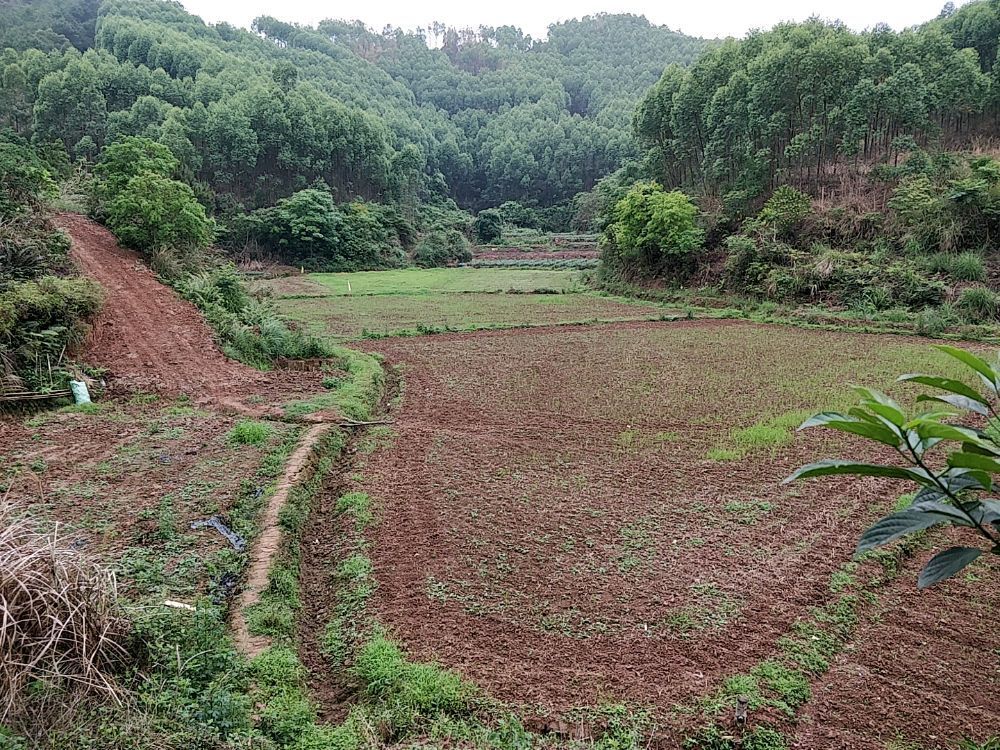 广西壮族自治区钦州市灵山县