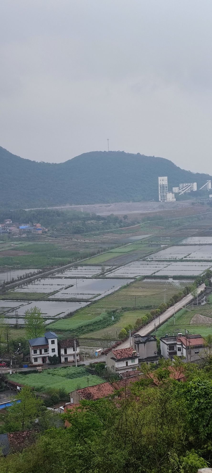 黄石市阳新县