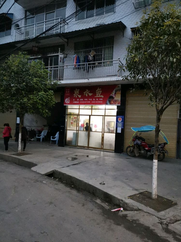 沙坝泉水鱼