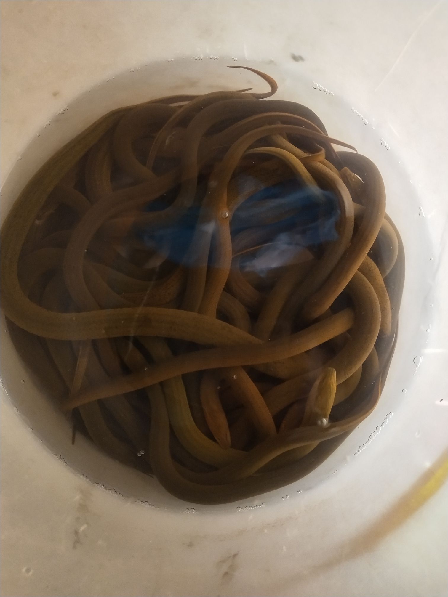 飞哥特色驴肉馆(抚州店)