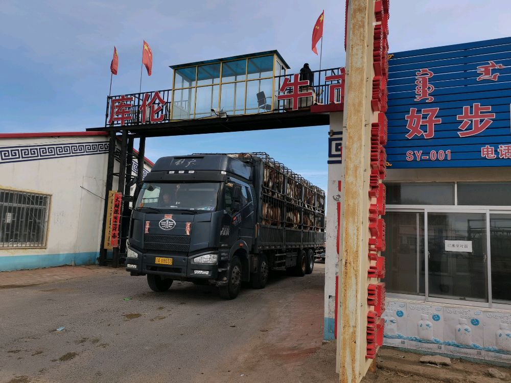 库伦牛市