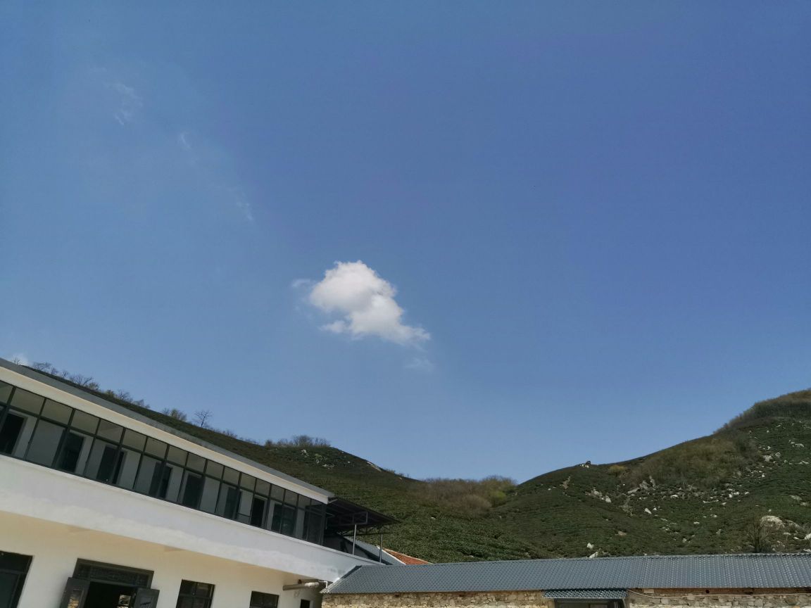 天堂山高山茶园