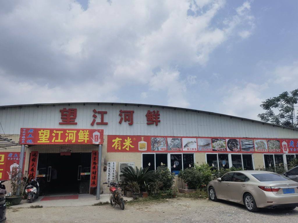 望江河鲜