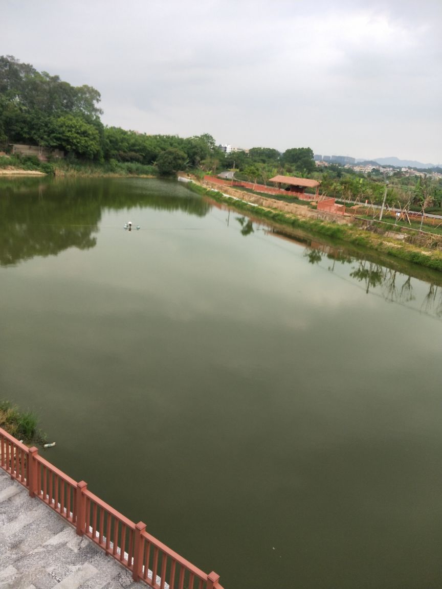 横茶新屋村钓场