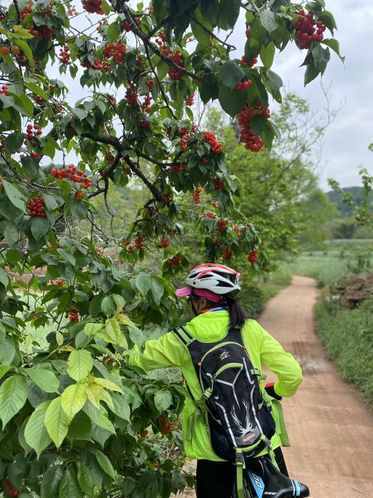 德阳市旌阳区