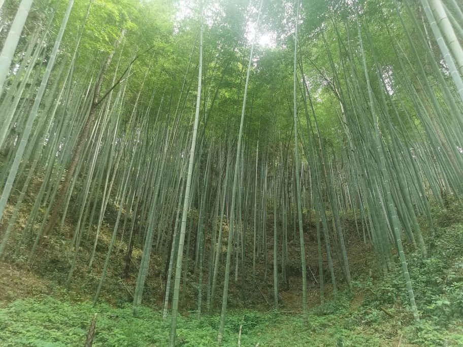 南平市浦城县