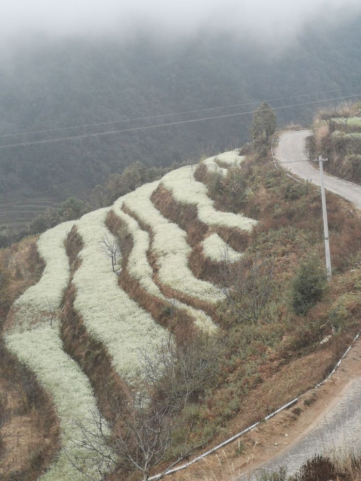 云南省玉溪市易门县腊老路