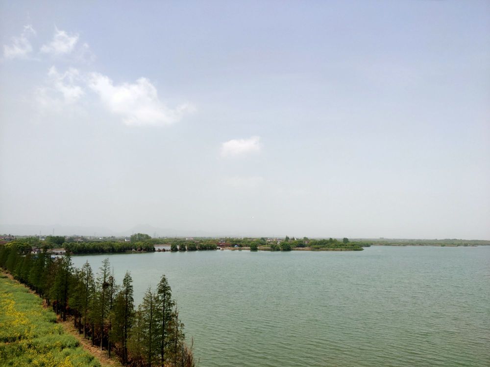 塘马湿地