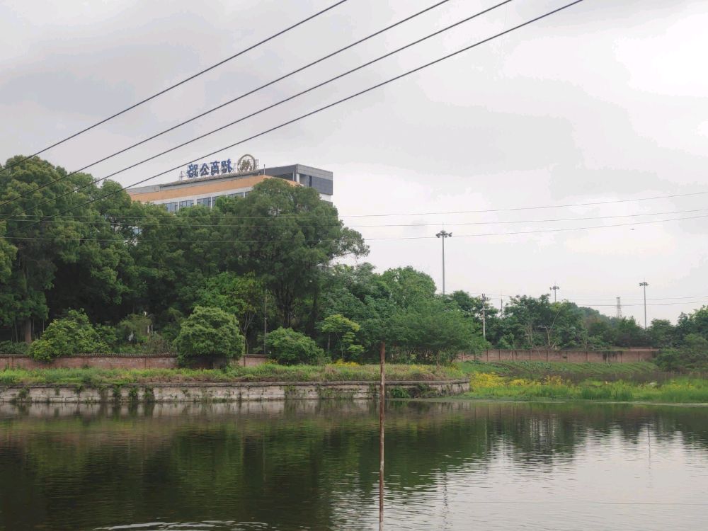 重庆市南岸区迎龙镇大坪村