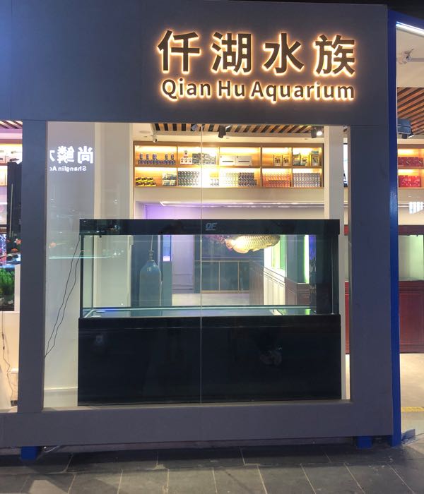 仟湖水族(光大南路店)