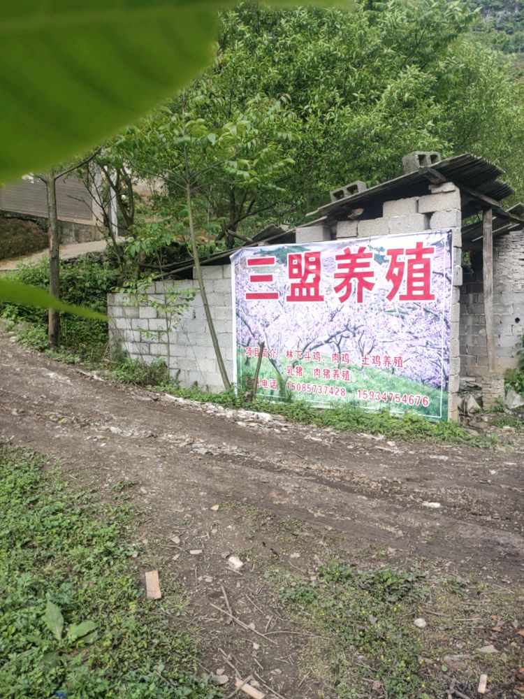 山盟禽业(养殖场)