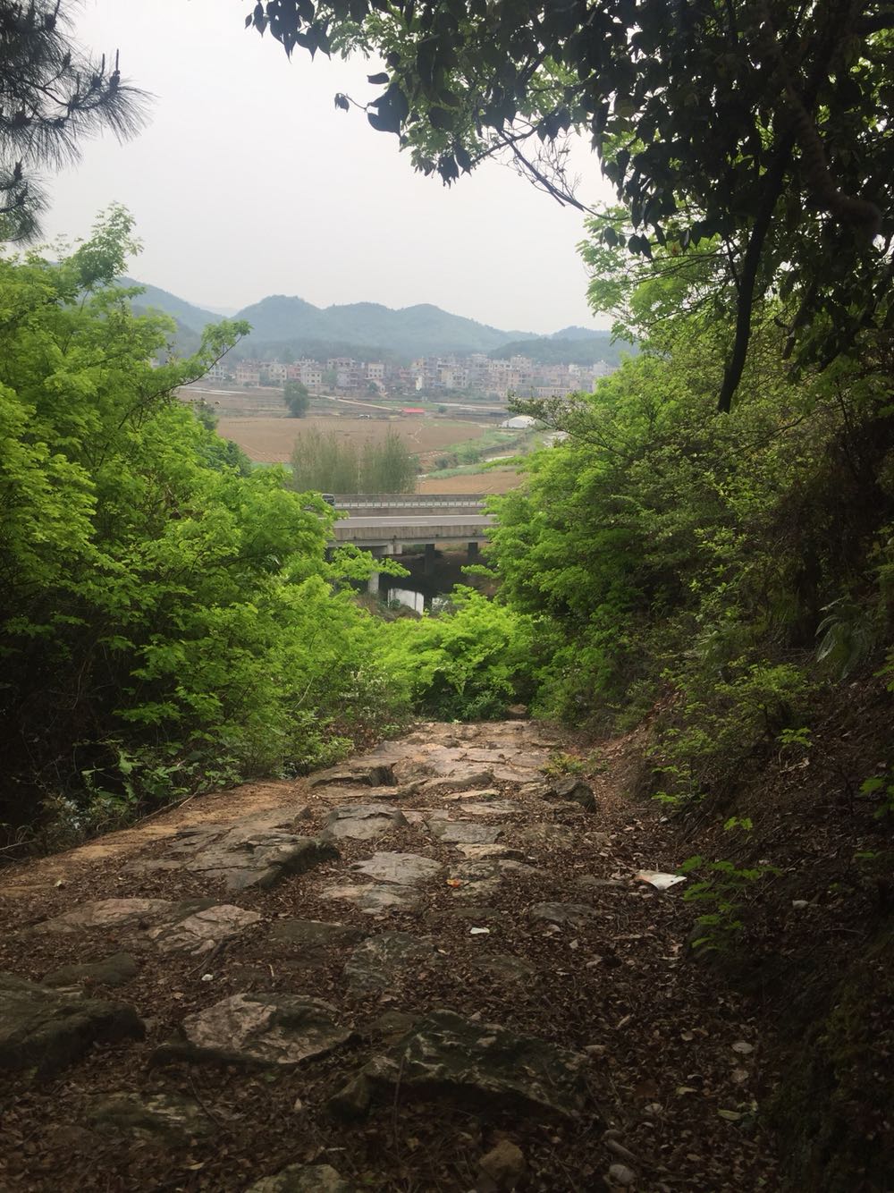 下门村