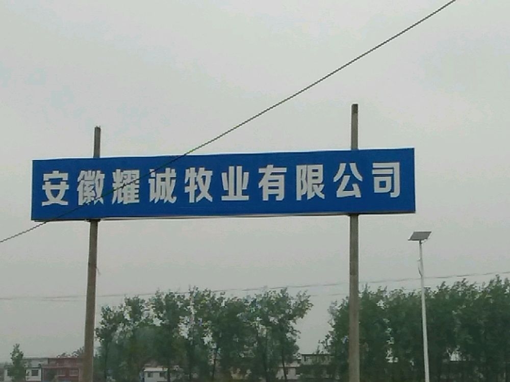 安徽省耀诚牧业有限公司