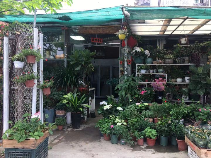 小栈花景花店