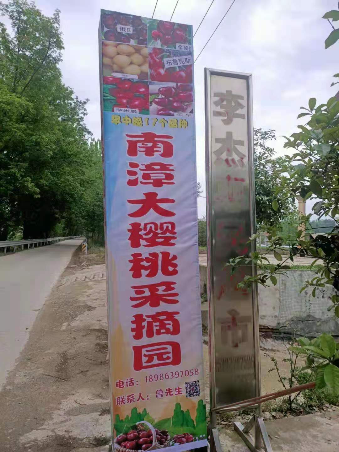 南漳大樱桃采摘园