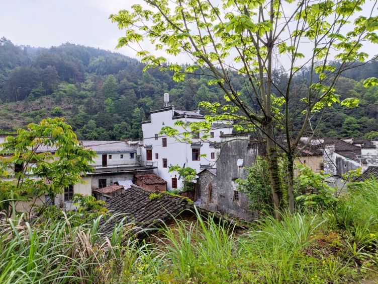 上饶市婺源县