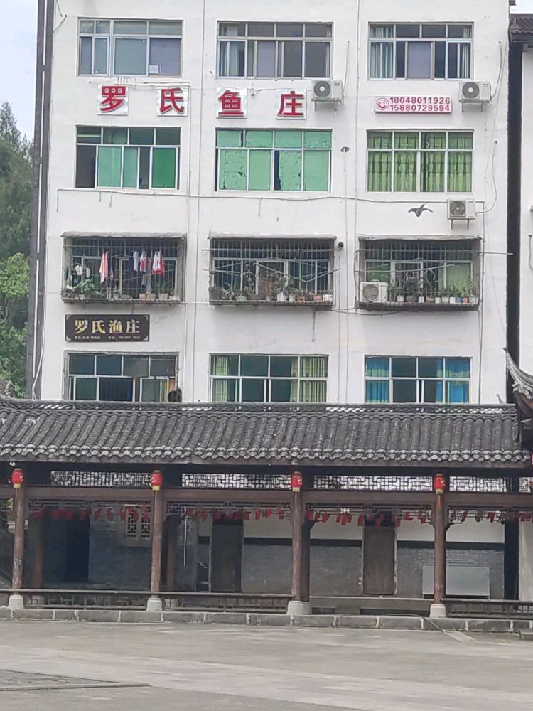 罗shi鱼庄