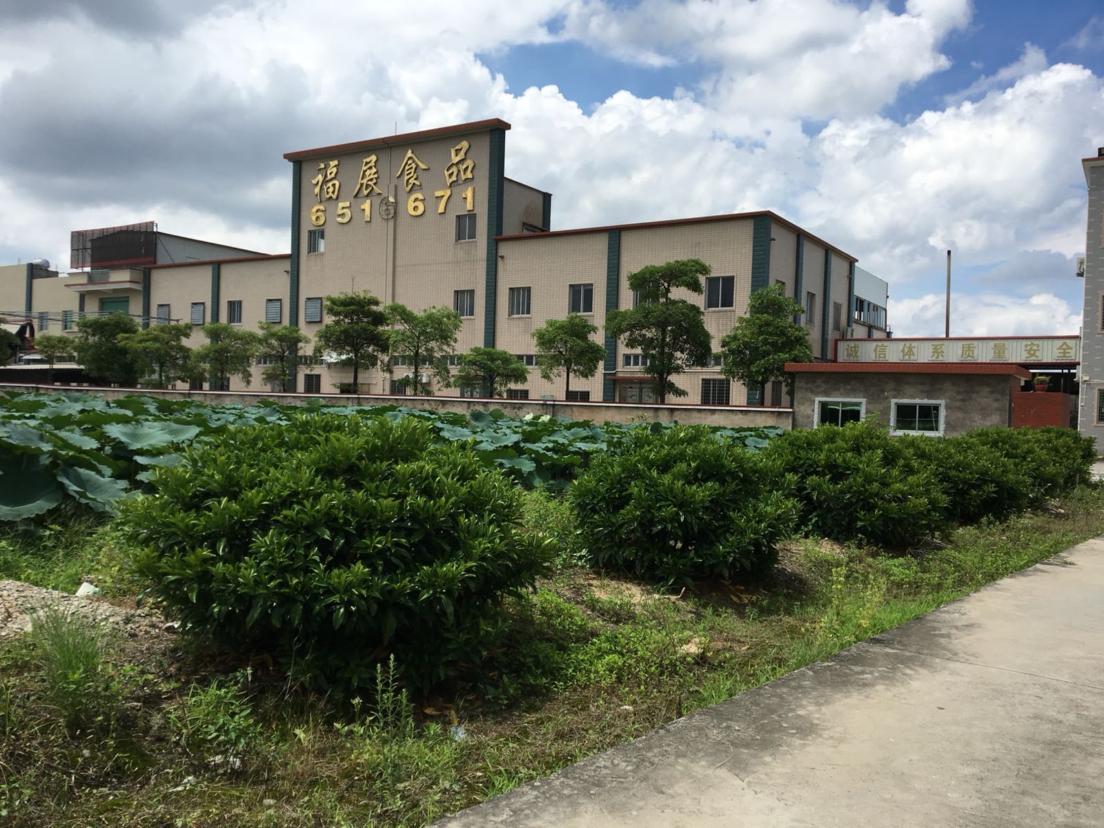 龙海市紫泥镇锦田村周边食品公司乐游旅游地址:漳州市龙海区龙江大道