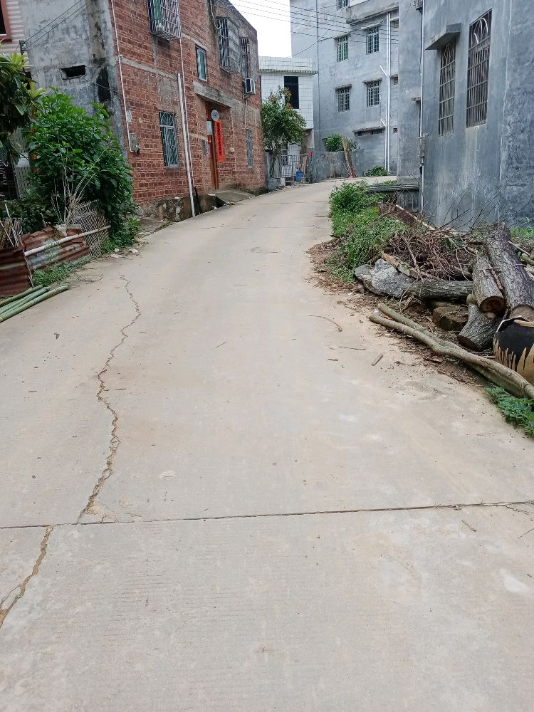 茂名信宜市东镇镇白坡冲口村