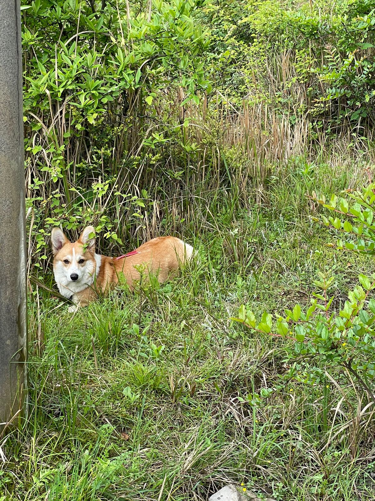 铜仁市印江土家族苗族自治县