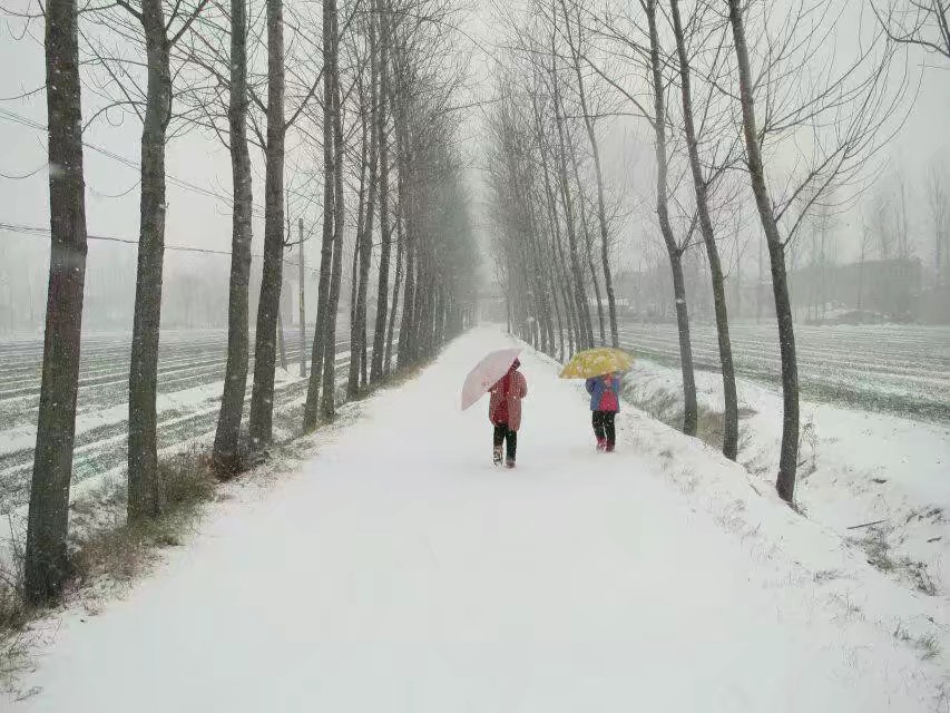 开封市杞县