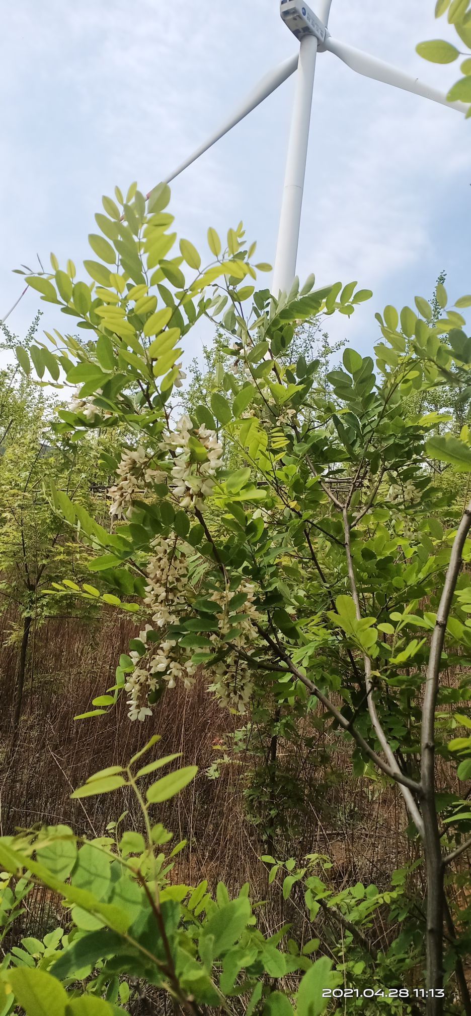 洛阳市宜阳县