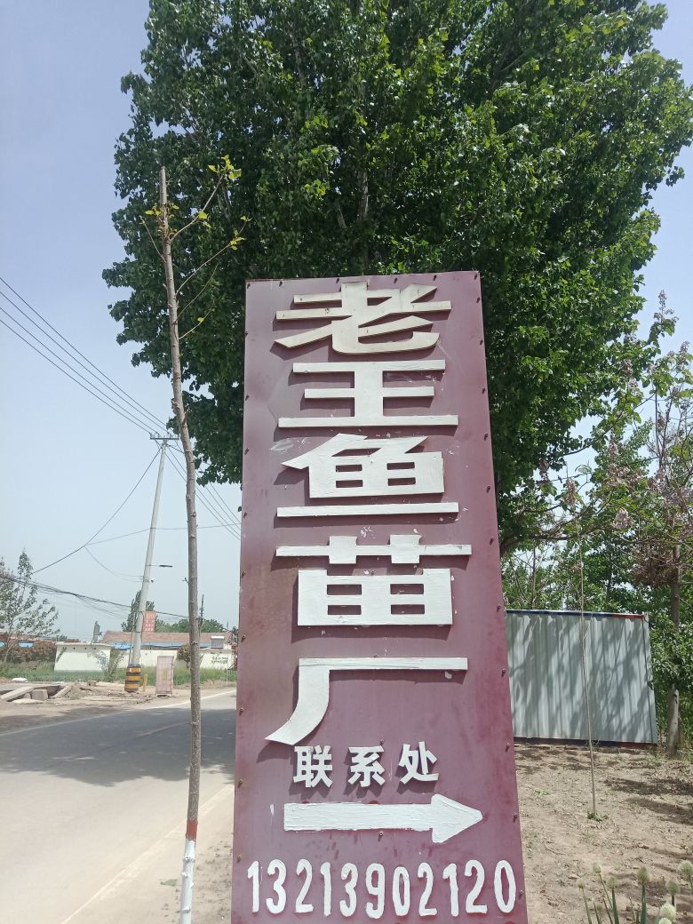 河南省濮阳市濮阳县