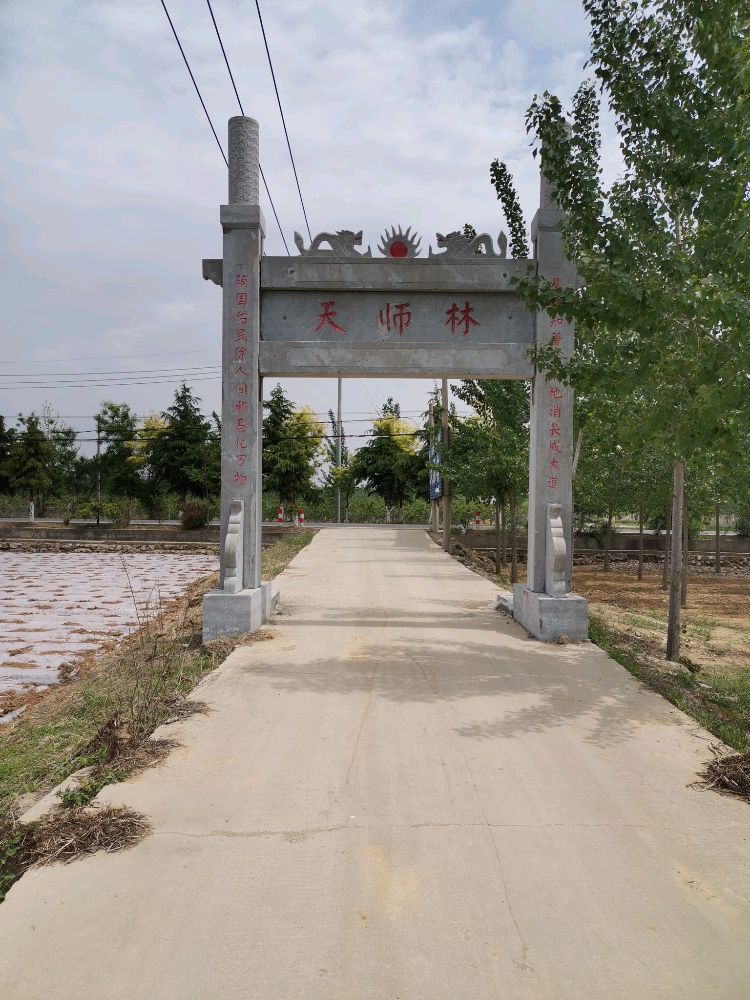 天师林