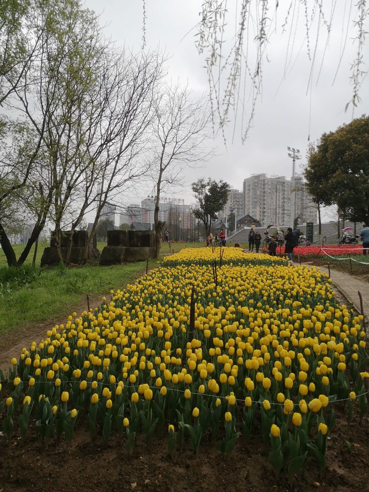 株洲市天元区滨江南路