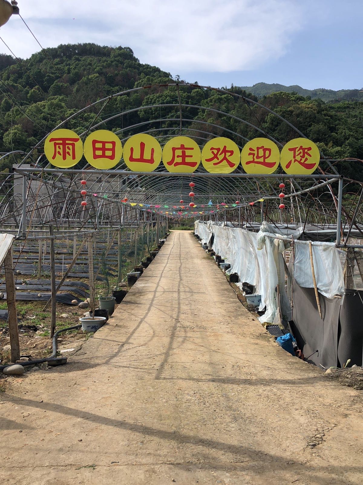 福建省福安市雨田山庄