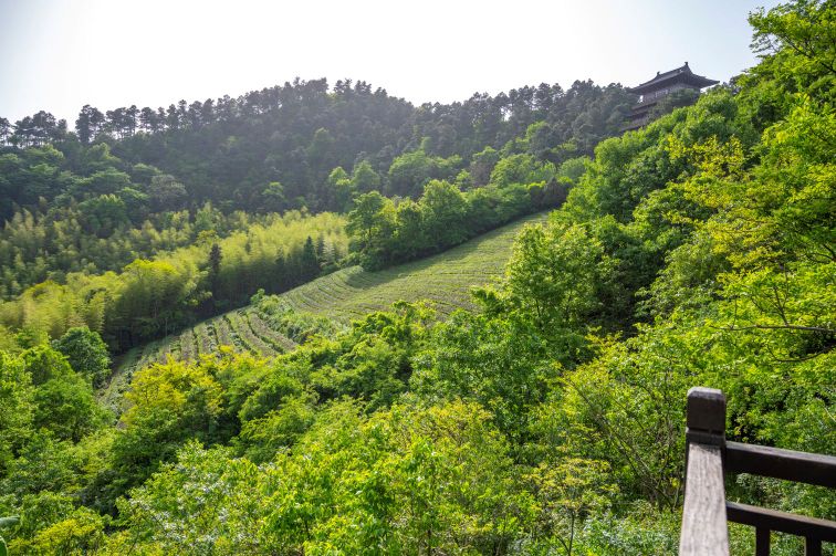 敬亭山风景名胜-中国诗词大会
