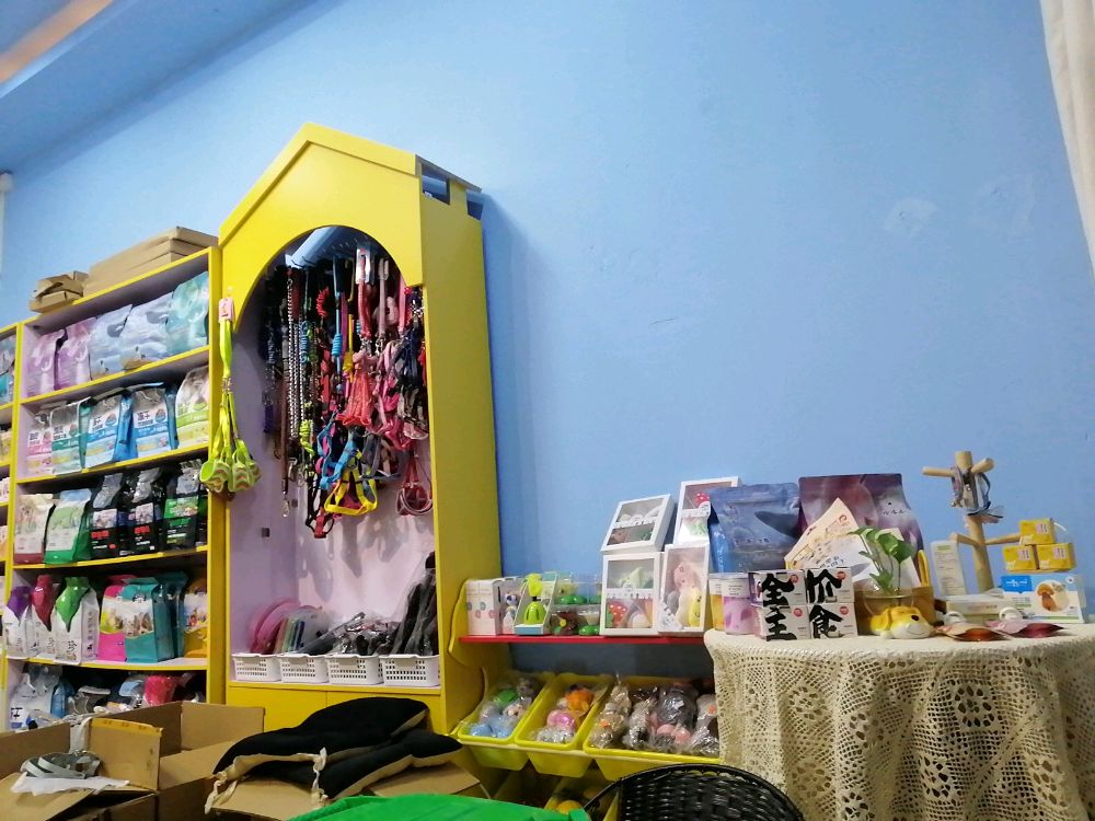 诸朋狗友宠物店-撸宠吧猫咖狗咖兔咖猪咖宠物咖