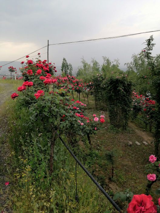 陕西省汉中市南郑区汉山村