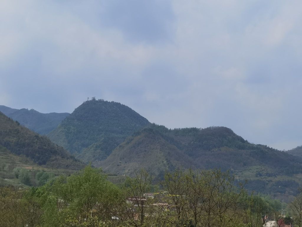 天水市秦州区