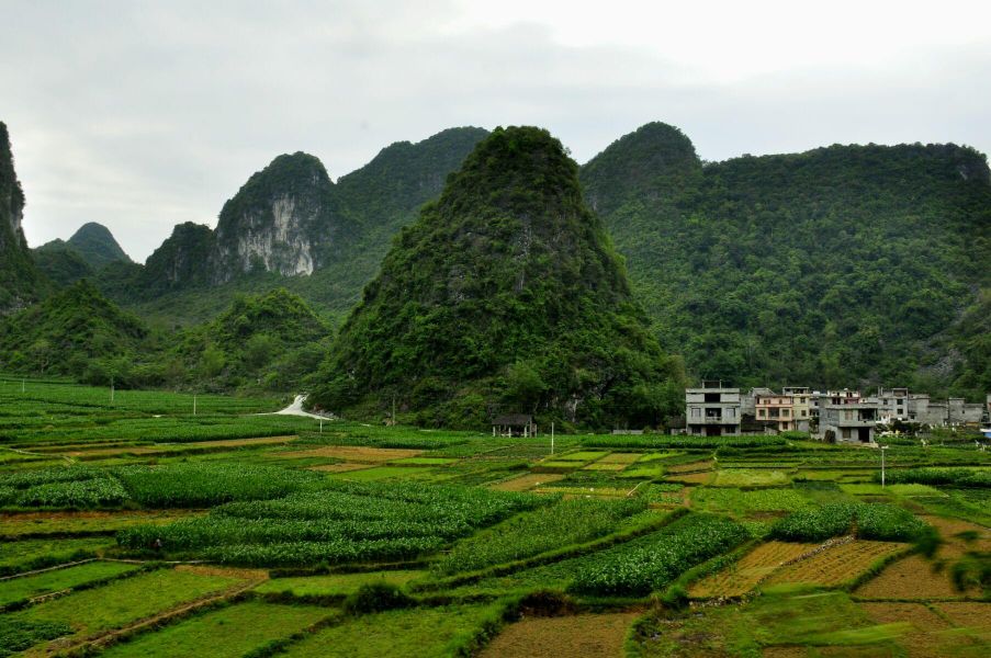 广西壮族自治区河池市巴马瑶族自治县巴马镇介莫村