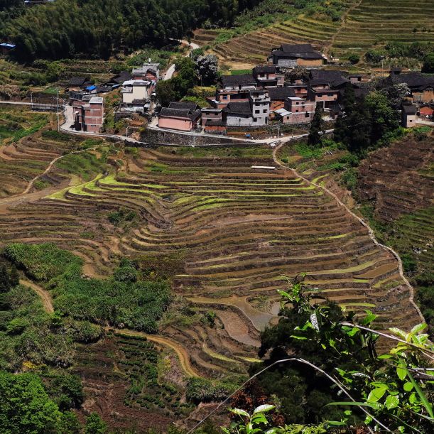 晓阳镇马洋梯田