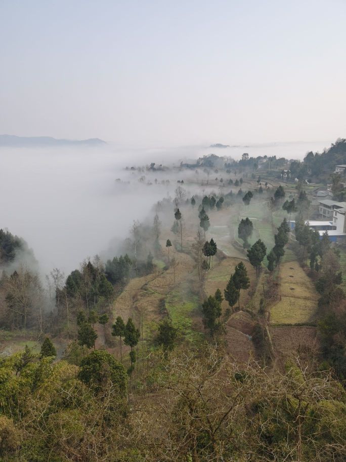 巴中市恩阳区花丛镇镇庙社区