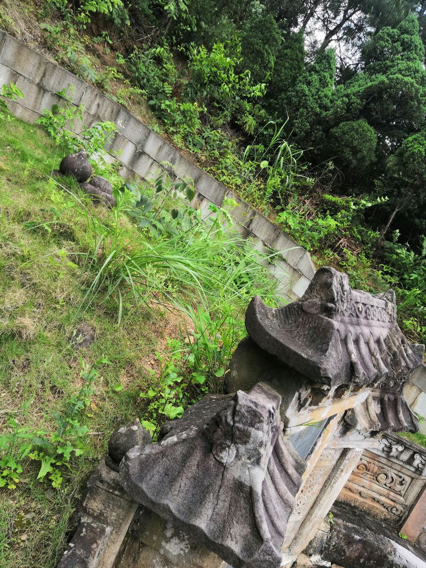 江西省抚州市宜黄县二都乡帘前村鹿塘以北山上