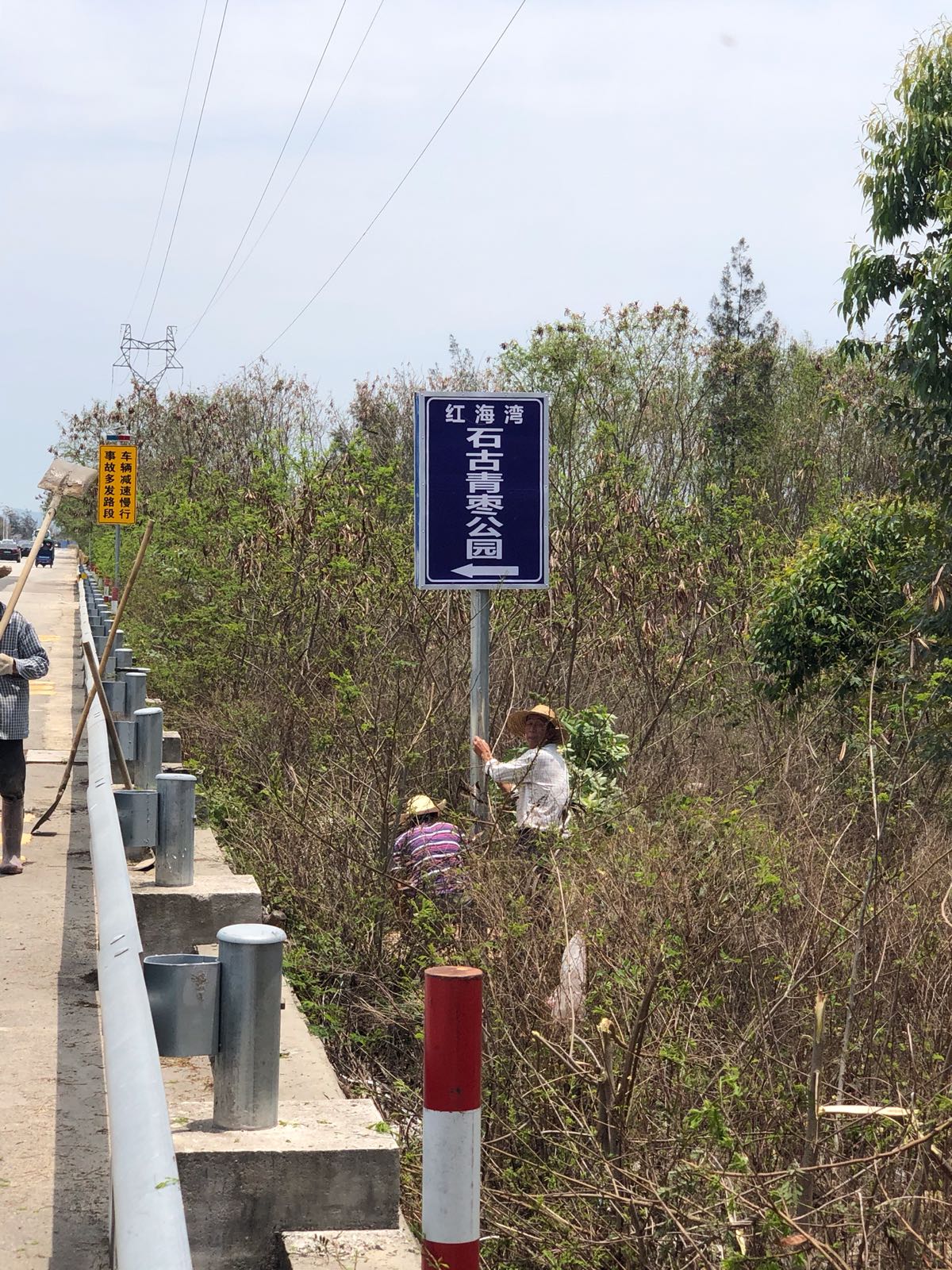 红海湾石古青枣公园