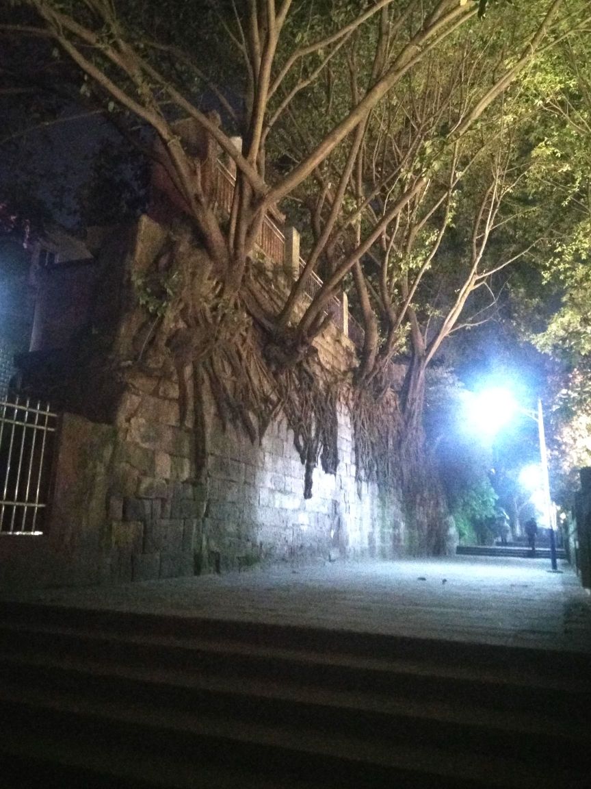 慧纮光寺
