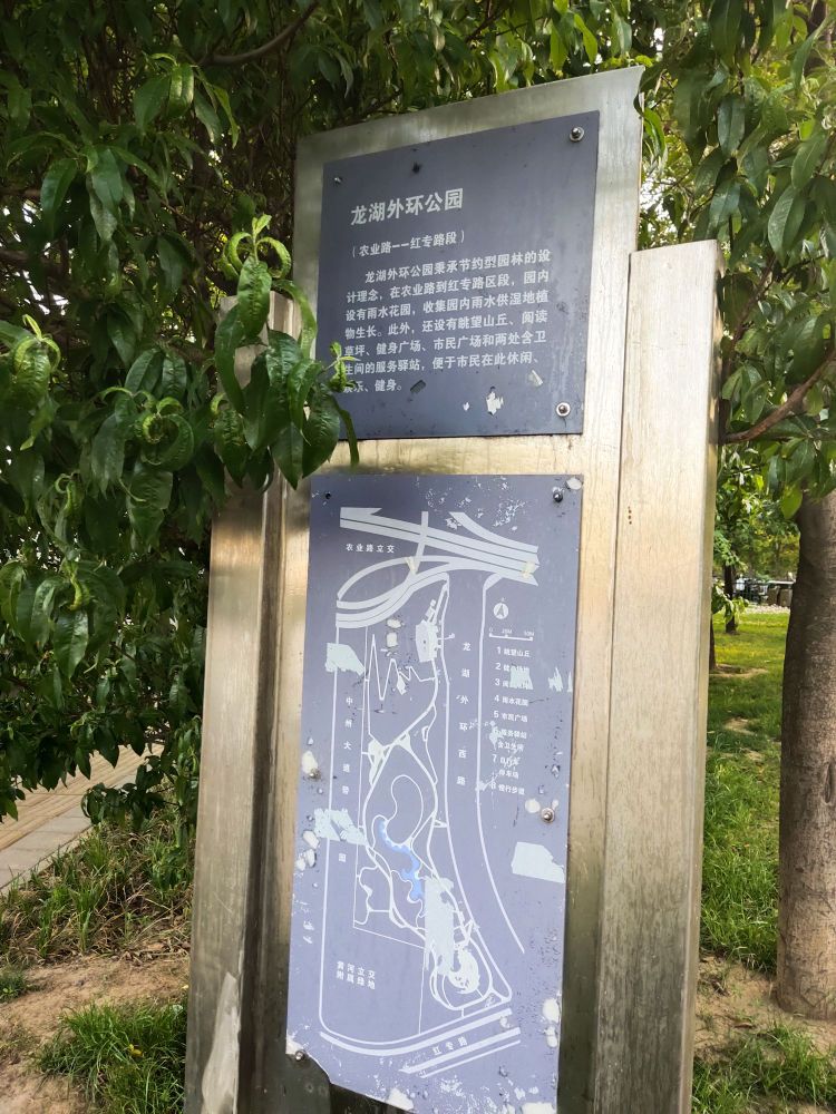 龙湖外环公园