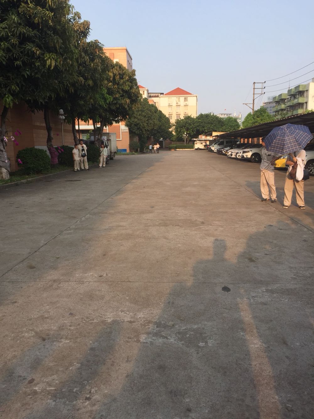 碧霞公园